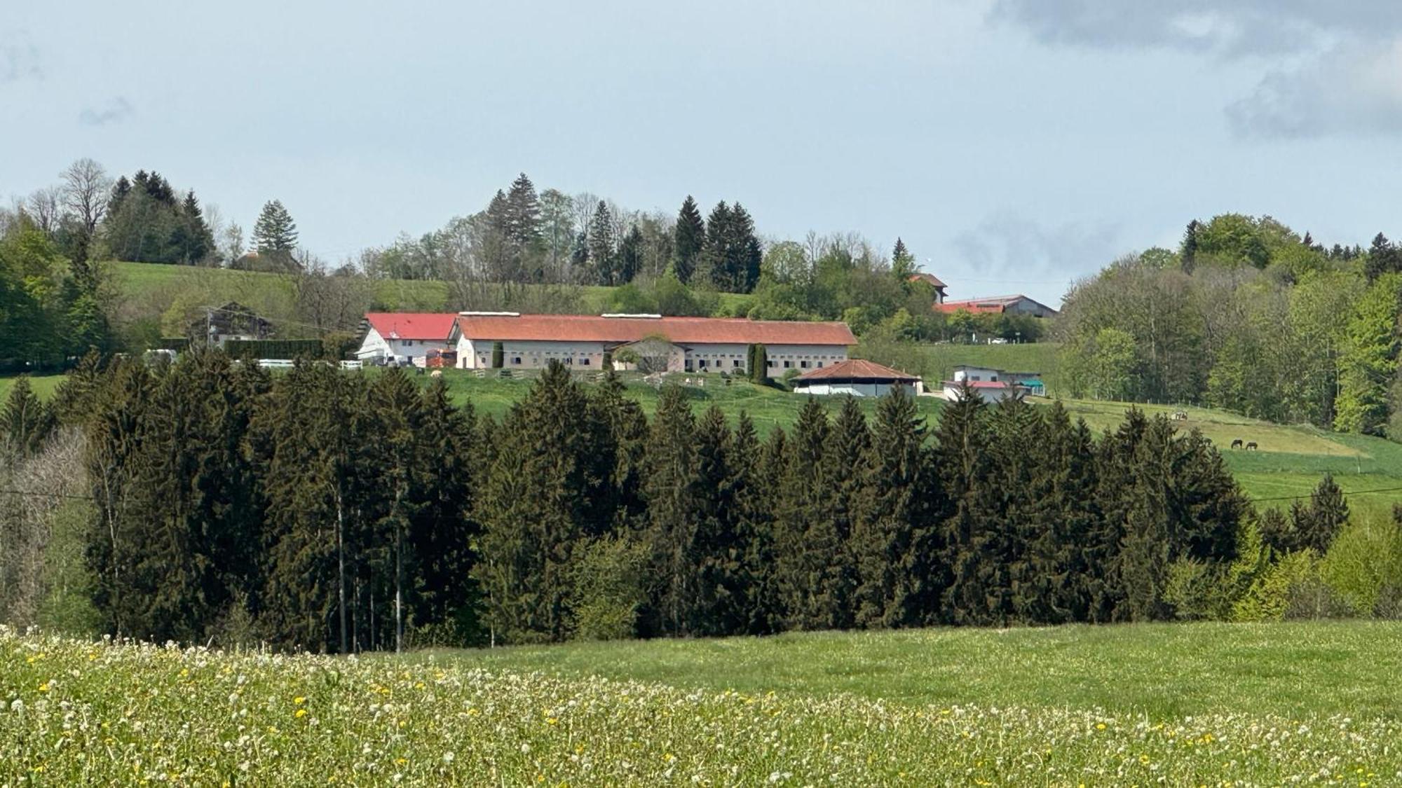 Gut Buchenhof Apartment Buchenberg  Exterior foto